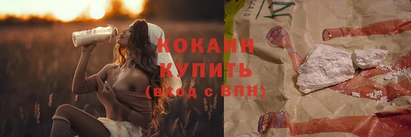 таблы Ельня