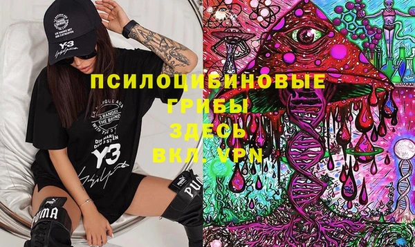 таблы Ельня