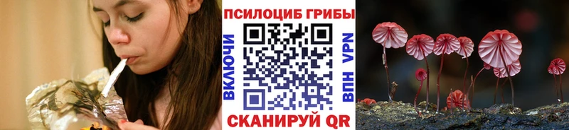 Галлюциногенные грибы Magic Shrooms  Купить закладки  Мытищи 